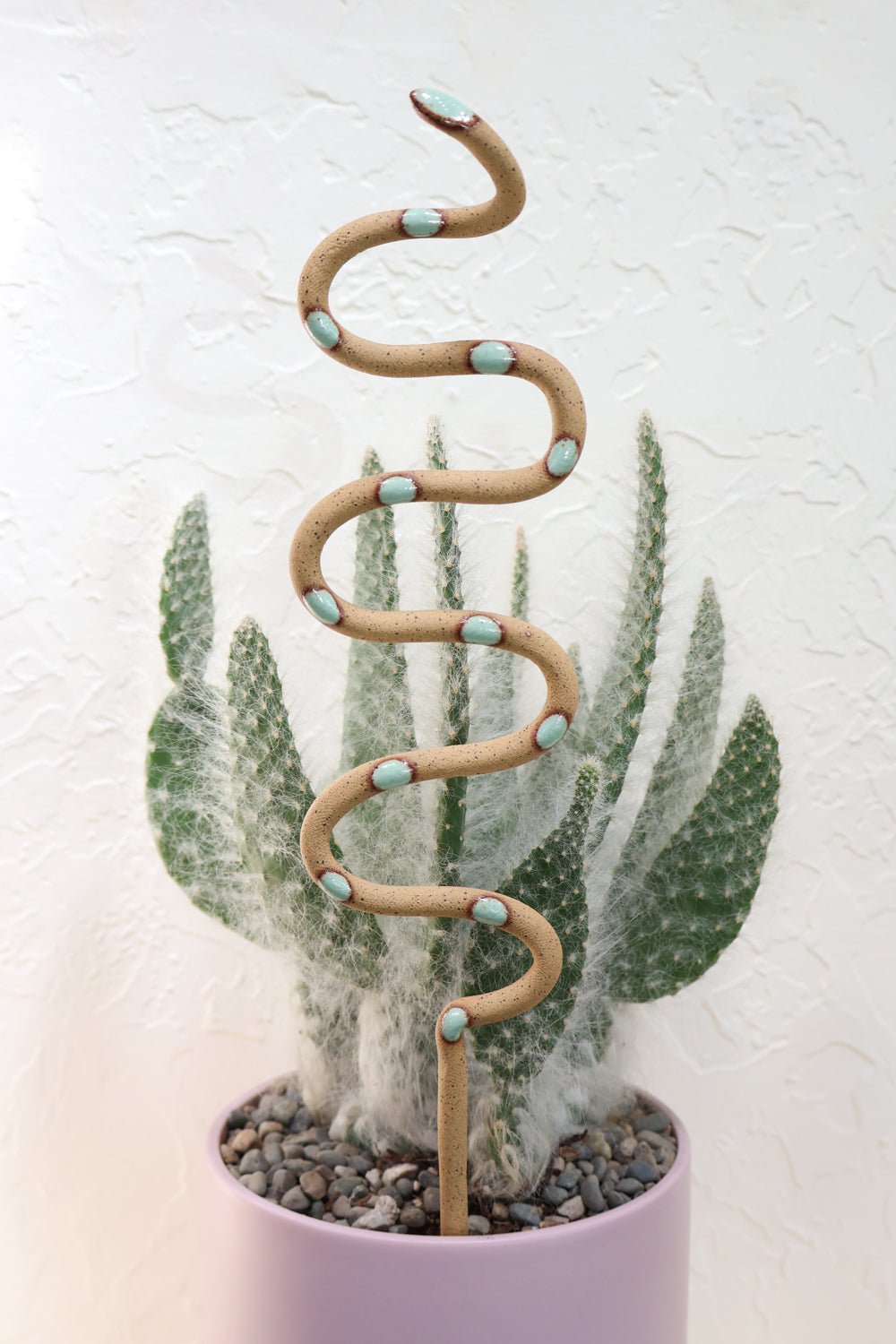 terracotta pot for snake plant Ceramic Plant Snake Stake