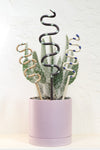 Carter + Rose, Plant Snake Stake