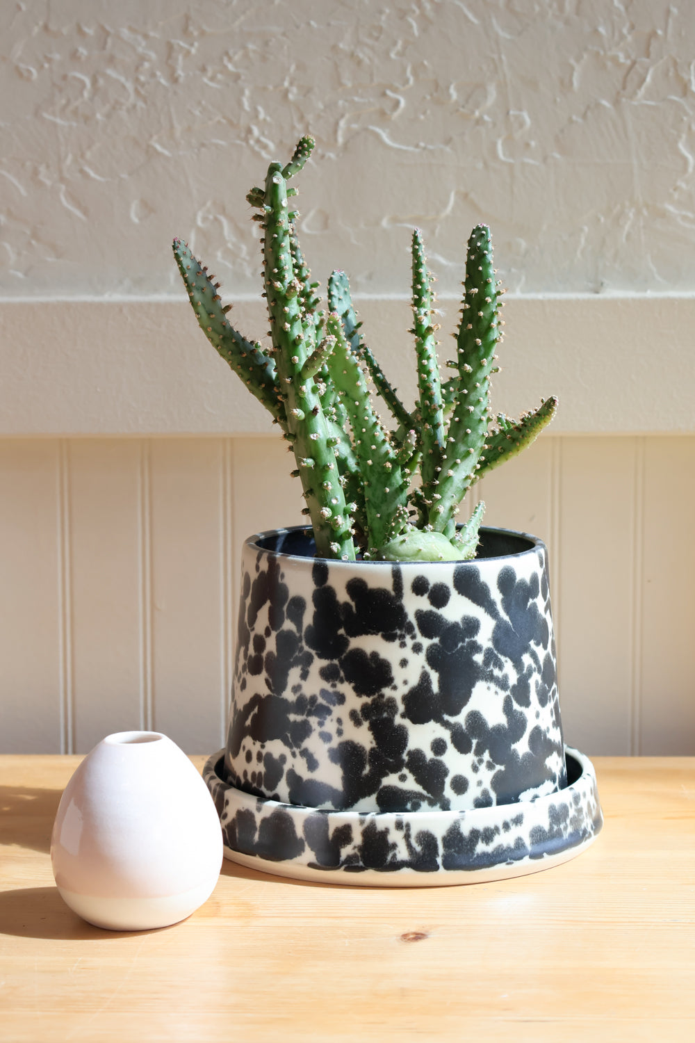 Stoneware Set - Carter + Rose