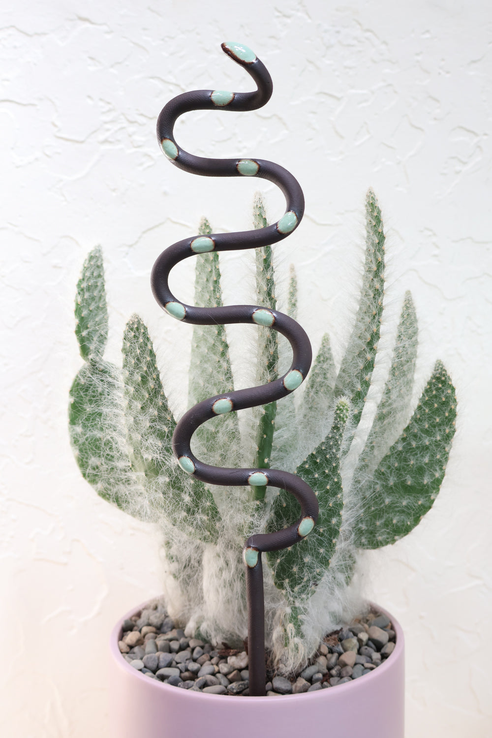can you stake a snake plant Ceramic Plant Snake Stake