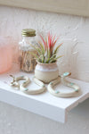 Ceramic Snake Bud Vase