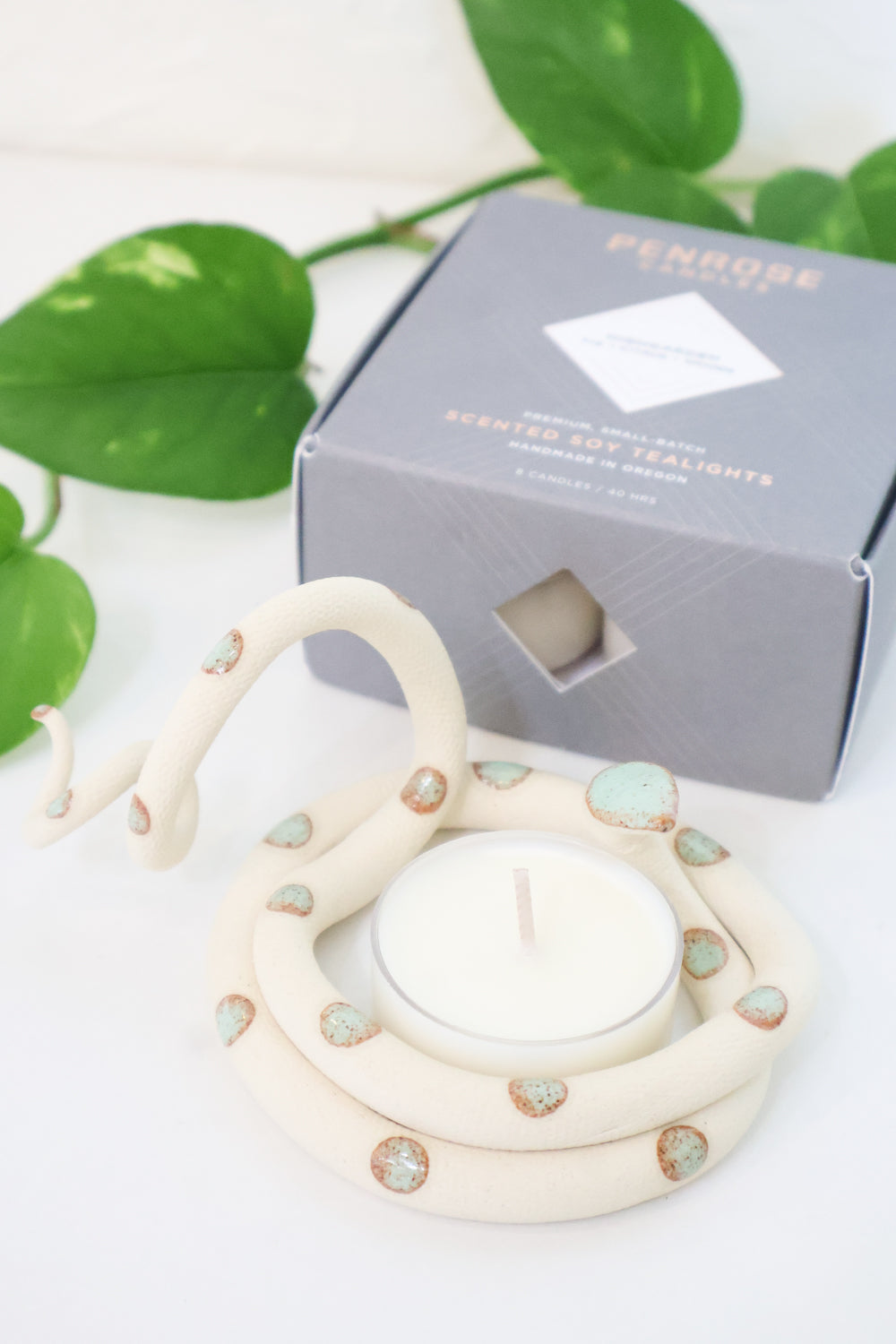 Garden Glow Set - Carter + Rose