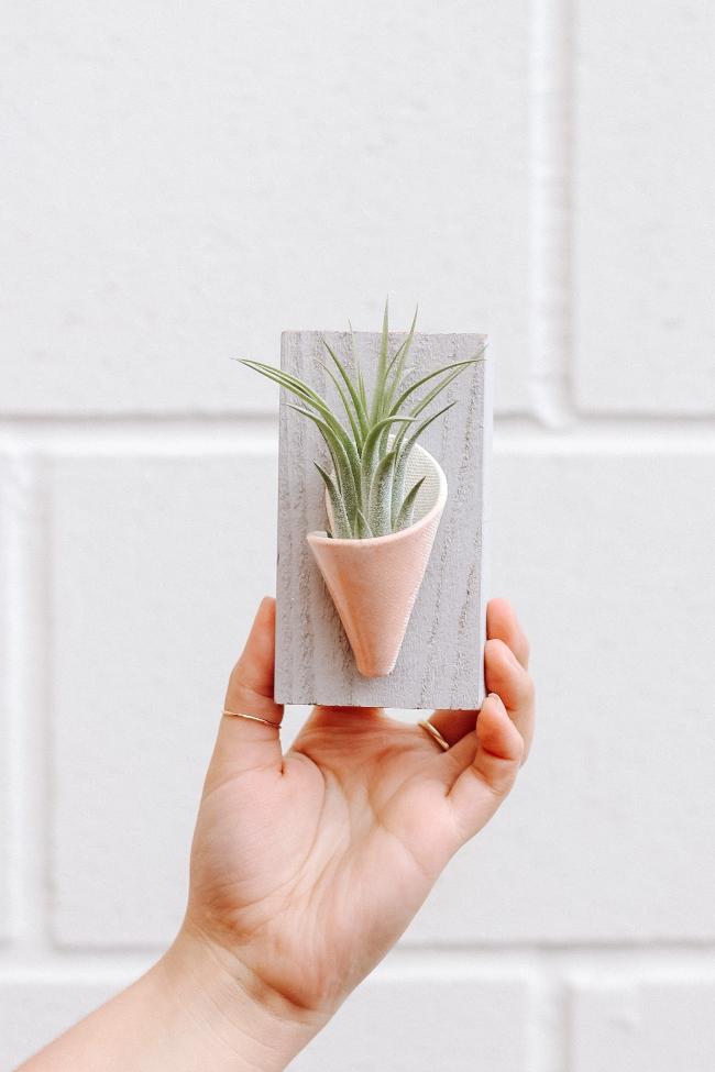 plant pots for walls inside Tiny Ceramic Wall Planter