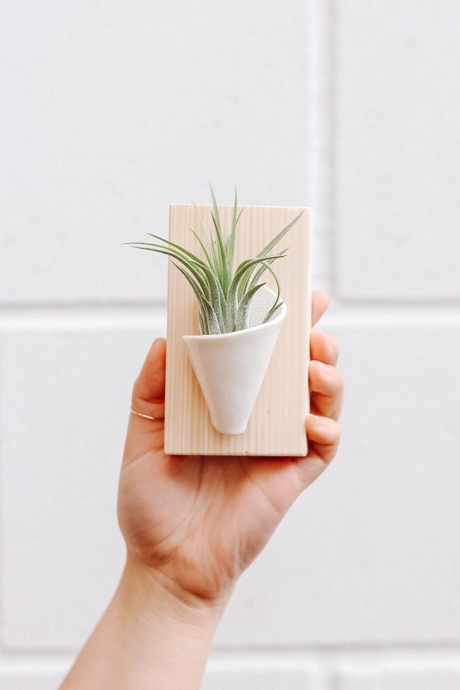 small pot plant holders Tiny Ceramic Wall Planter