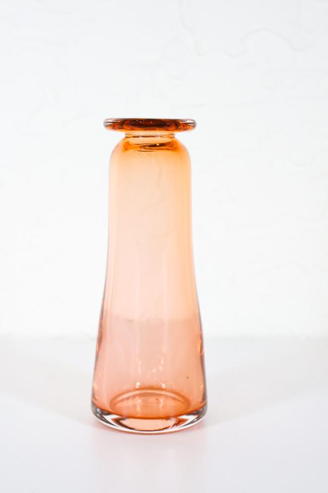 Vine Vase Propagation - Carter + Rose