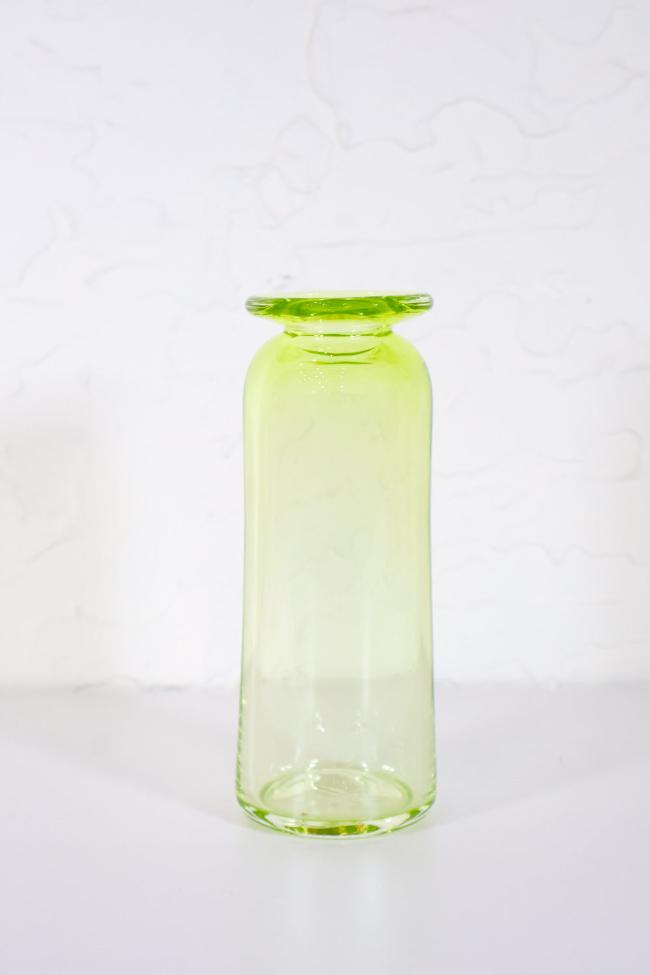 Vine Vase Propagation - Carter + Rose