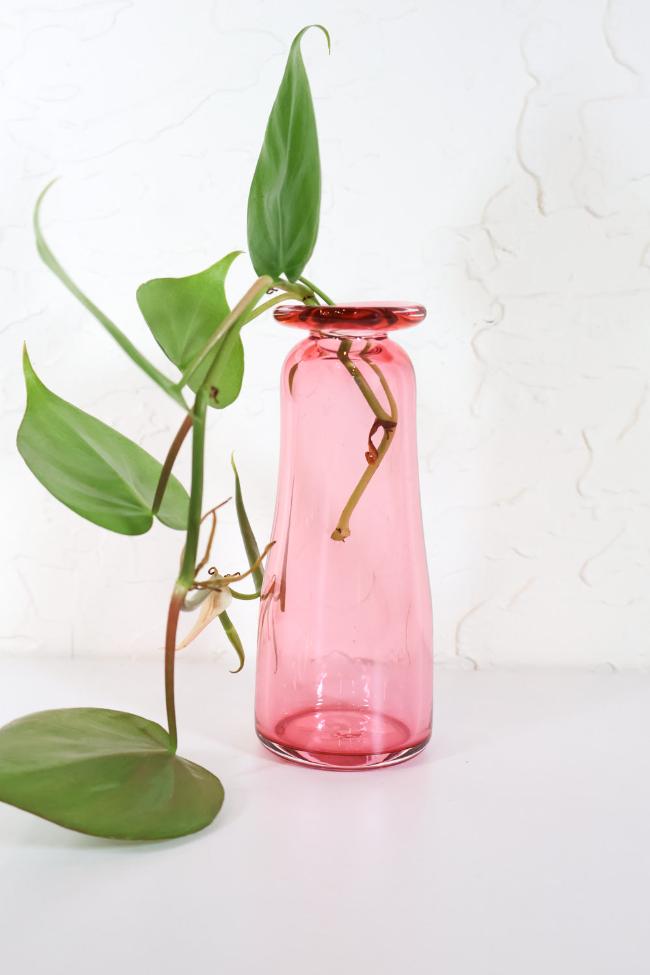 Vine Vase Propagation - Carter + Rose