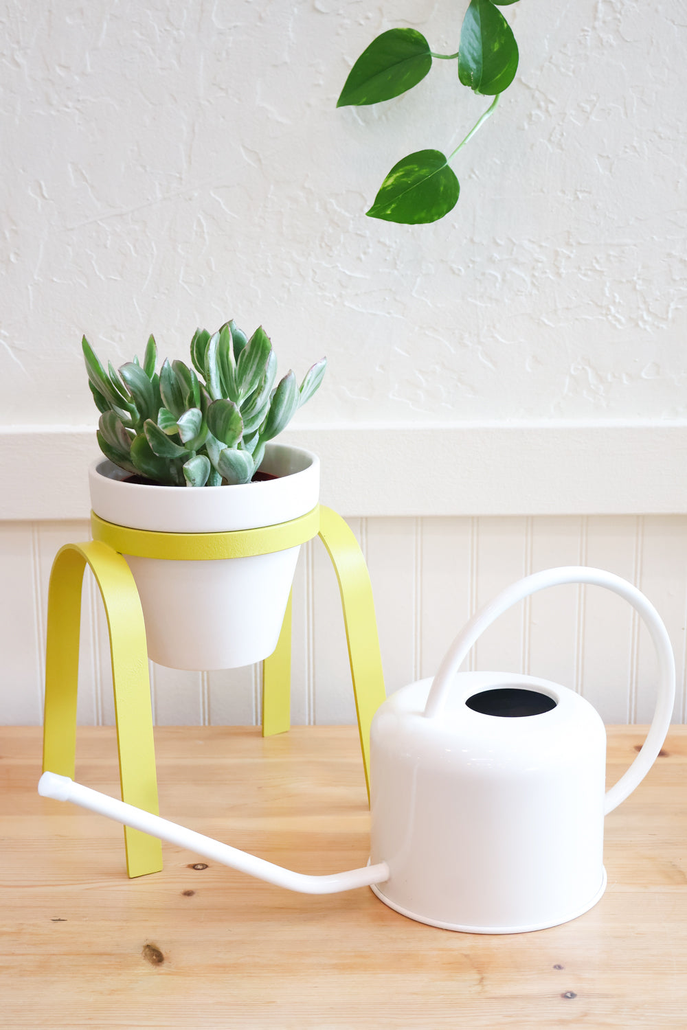 Simply Green - Carter + Rose