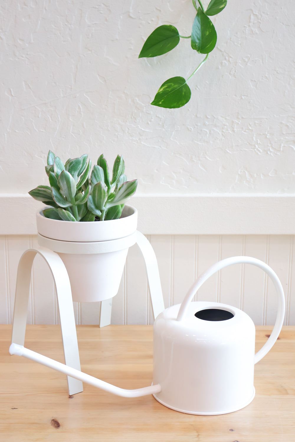 Simply Green - Carter + Rose