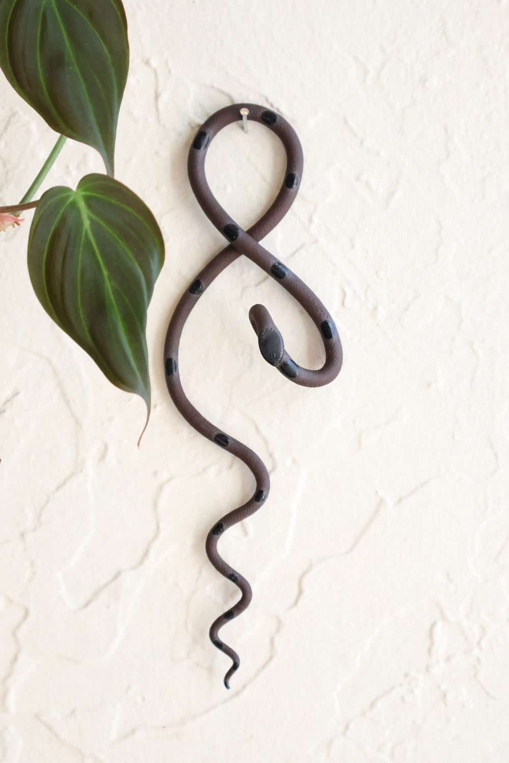 Small clay snake wall sculpture/decor hanging vertically from a metal loop on a white wall. The top of the snake crosses like a figure 8 and the tail hangs down in an organic s curve. This colorway is Saul, dark brown clay and black dots. 