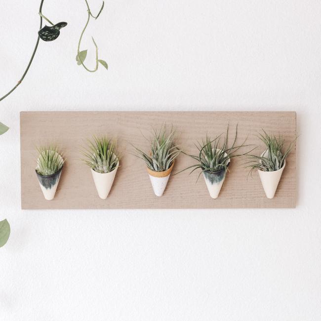 Five small ceramic cones on a horizontal grey wood board. Cone colors go from left to right: indigo, ivory, speckled white, indigo, ivory. The planter is styled with air plants in each of the cones. 