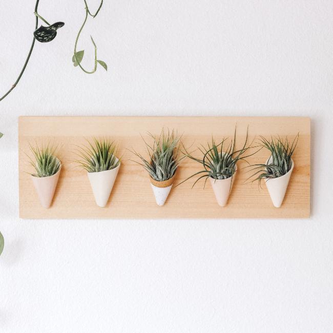 hanging board for plants Carter + Rose, Horizontal Wall Planter
