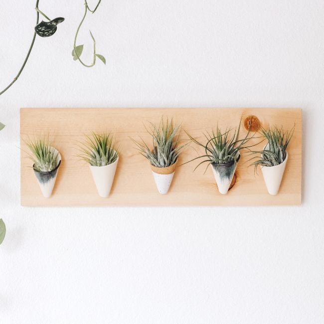 Five small ceramic cones on a horizontal pine wood board. Cone colors go from left to right: indigo, ivory, speckled white, indigo, ivory. The planter is styled with air plants in each of the cones. 