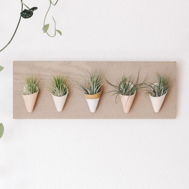 ceramic wall mounted plant pots Carter + Rose, Horizontal Wall Planter