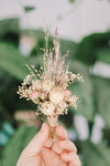 Dried Arrangements - Carter + Rose