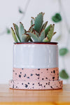 Tiny Badger, Planters - Carter + Rose