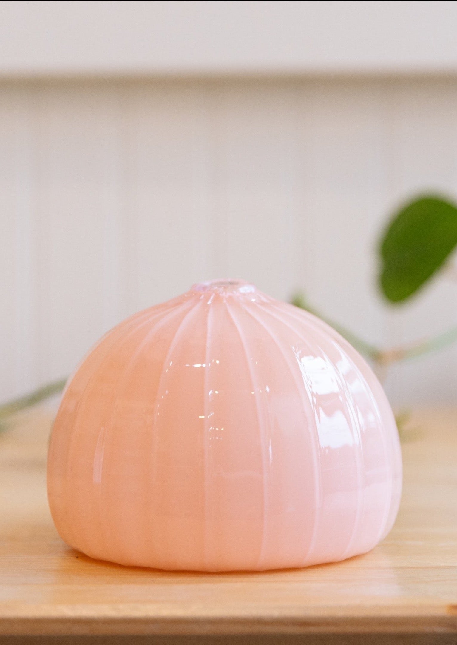 Little Tomato Bud Vases - Carter + Rose